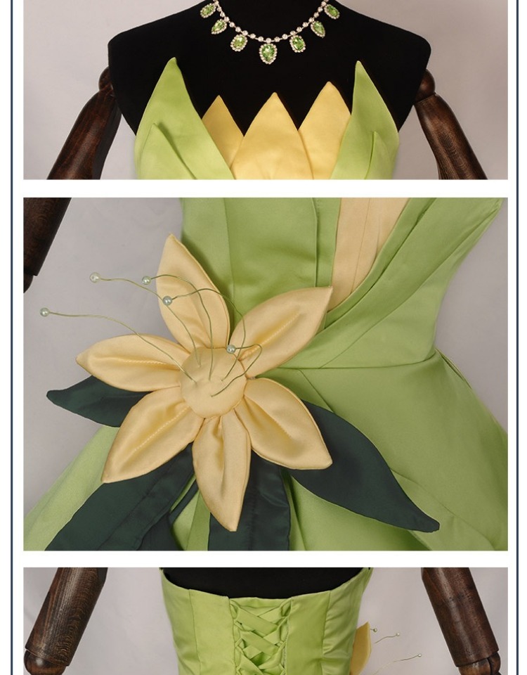 Princess Tiana Dress Cosplay C - огляд і ціна Women Accessories Kit