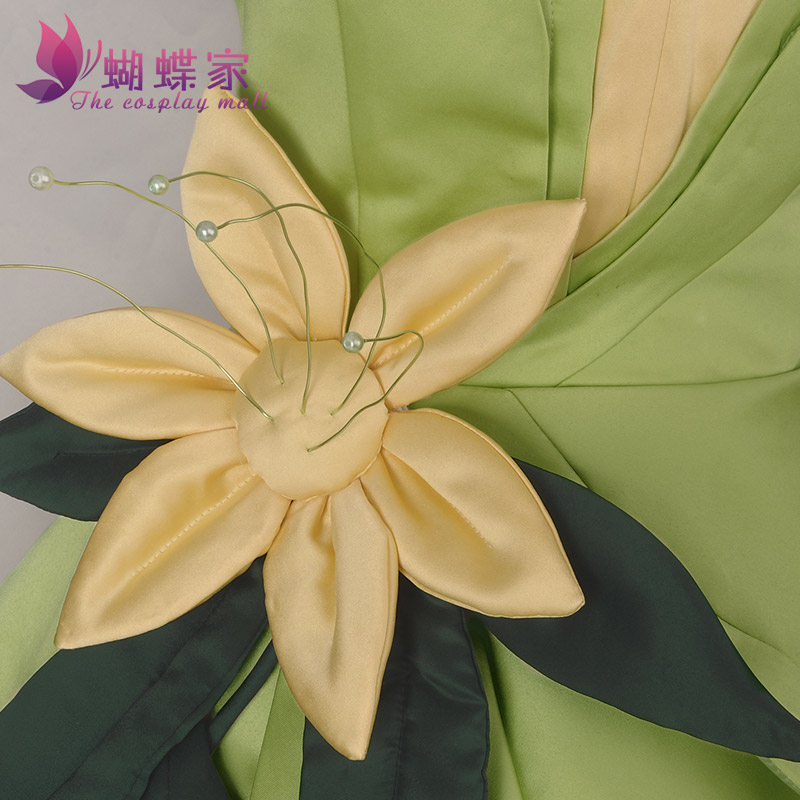 Princess Tiana Dress Cosplay C - огляд і ціна Women Accessories Kit